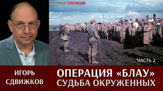 Игорь Сдвижков. Операция 