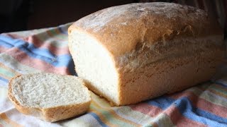 Everyday Bread Recipe