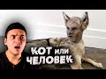 10 ЖИВОТНЫХ С ЧЕЛОВЕЧЕСКИМ ЛИЦОМ | Зомби Чез | Страшные Видео на Ночь | Реакция | Рома Субботин