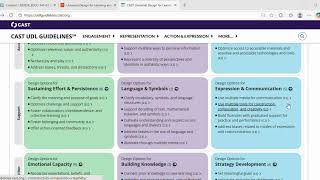 UDL Video 2