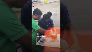 Information Our Story Part 1 | Karma Foundation #StopAnimalCruelty #veterinarian #pune News