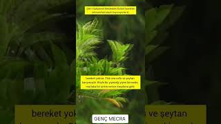 "İşlerim Neden İyi Gitmiyor?" Sorusuna Cevap #shorts #dinivideolar #tasavvuf #nakşibendi #sohbet