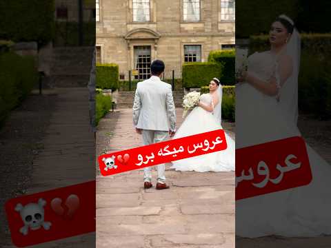 عروس دمه حجله گربه رو ک شت عروس ایرانیان انگلستان سولوفیلم پرو ویدیو داماد شیراز لندن