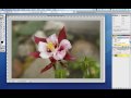 How to Resize Images for Printing in Photoshop or Photoshop Elements