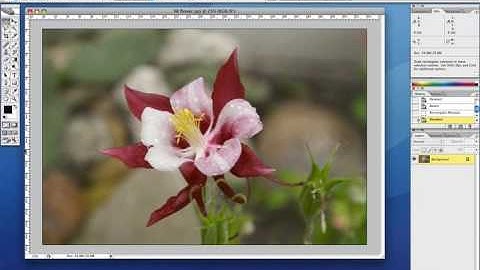 How to Resize Images for Printing in Photoshop or Photoshop Elements