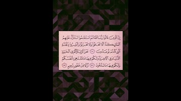 سورة فصلت- القارئ الشيخ خالد الجليل 🍂