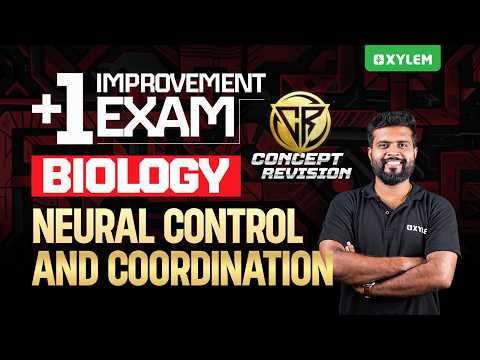 Plus One Improvement Exam Biology | Neural Control And Coordination | Xylem Plus Two