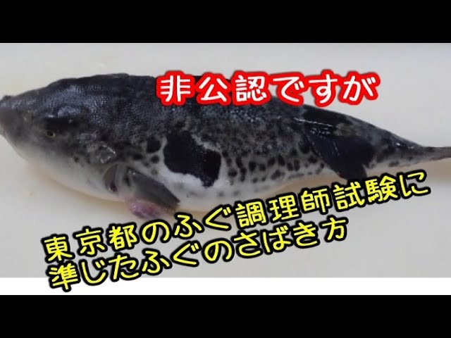 非公認 東京都ふぐ試験に準ずるさばき方 Youtube