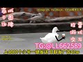 泰国交友粉引流✈️【咨询TG:@LL662589 】刷礼物用户进行一键采集、一键强私、上粉量倍增！#tiktok