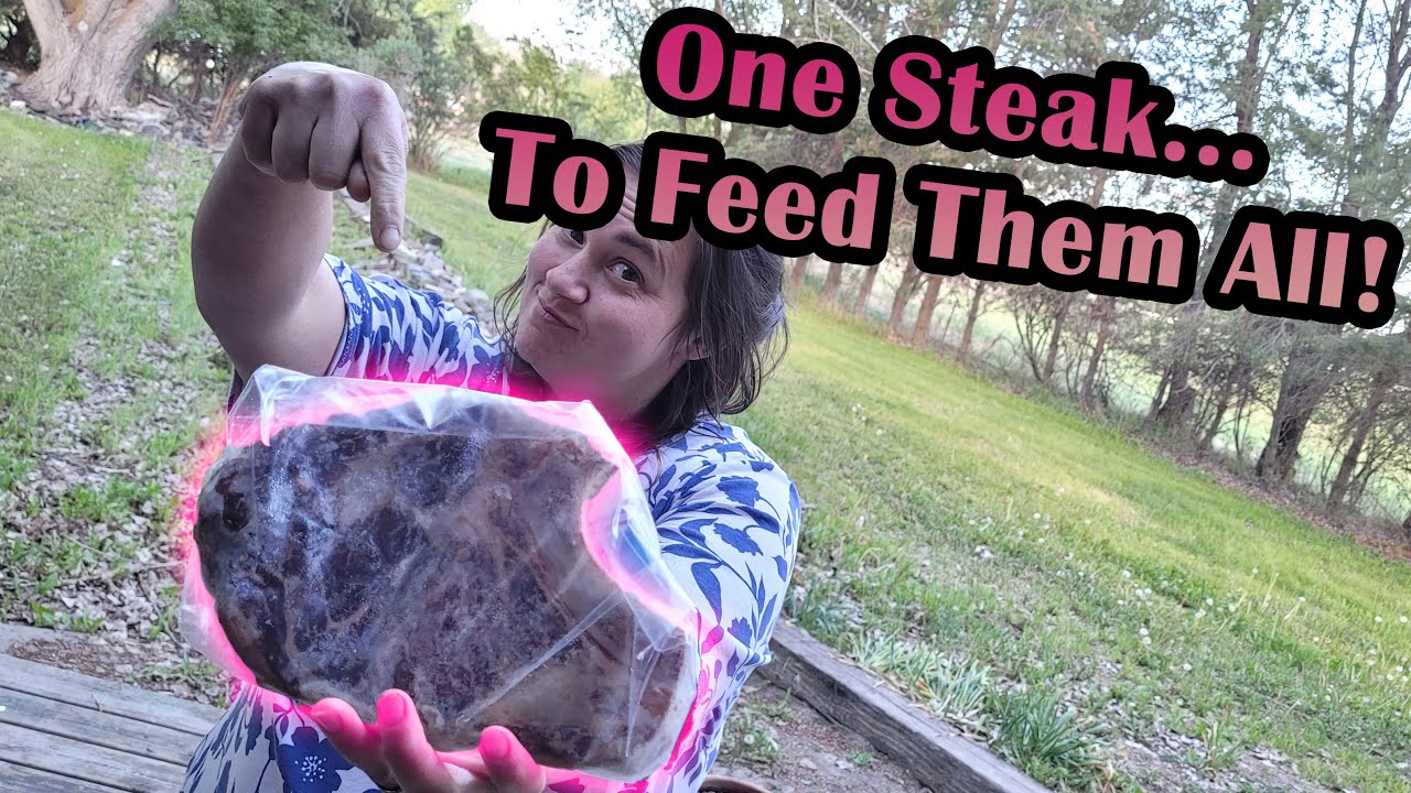 Food Bank Haul With Meal 6/6/22 - Feeding the Whole Family With ONE STEAK? Plus a Mystery Veggie!
