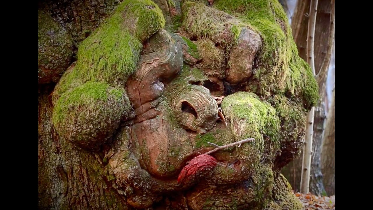 Il profumo dei boschi della Valle di Lodano