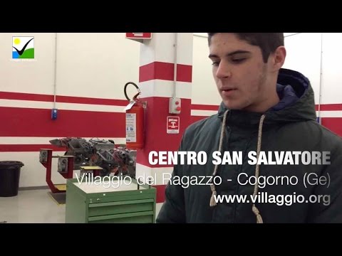 Video: Castagno commestibile: semina e coltivazione