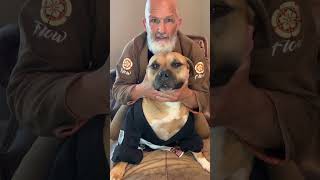 Rear Naked Choke W Wrigley The Bulldawg, Brazilian Jiu Jitsu, Bjj