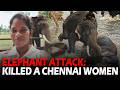 Tourist dies after elephants fight at Karnataka wildlife camp l Dr.K.Abdul Nabeel