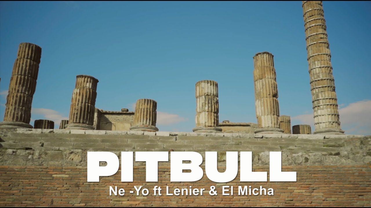 Pitbull Ne Yo   Me Quedar Contigo ft Lenier El Micha Salsa Remix Dance Video