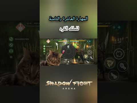 شادو فايت أرينا مونكي كينغ بعد التحديث