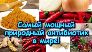 САМЫЙ МОЩНЫЙ ПРИРОДНЫЙ АНТИБИОТИК В МИРЕ! САМЫЙ МОЩНЫЙ ПРИРОДНЫЙ АНТИБИОТИК В МИРЕ!