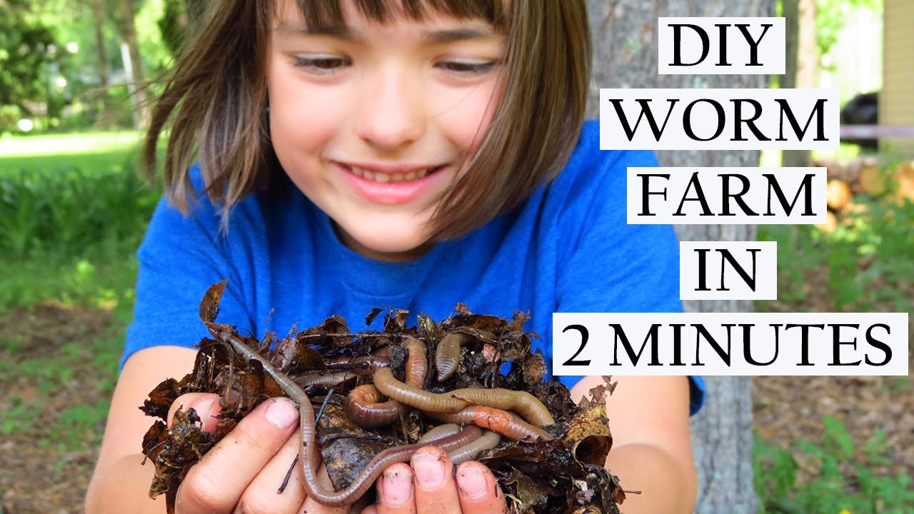 Making a worm farm in 2 minutes (raise worms / vermiculture