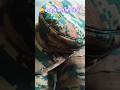 nccguru393#army commando feel #viral #motivation #trending #song #youtubeshorts#comedy#shorts #video