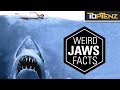 Top 10 Surprising Facts About the Movie “Jaws”