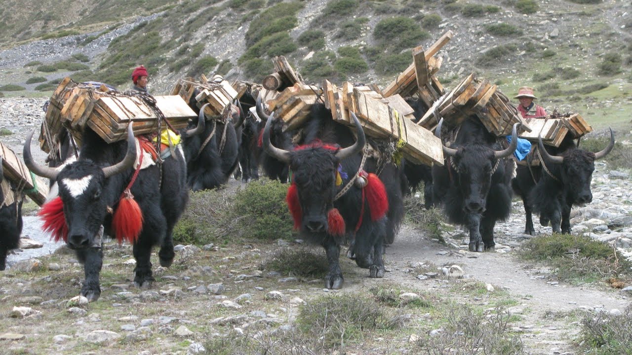 DOLPO le pays caché