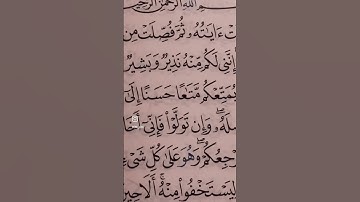 ماتسير من سورة:هود  للقارئ:ماهر المعيقلي #allah #quran #ماهر_المعيقلي #الله #لاإله_إلا_الله #islam