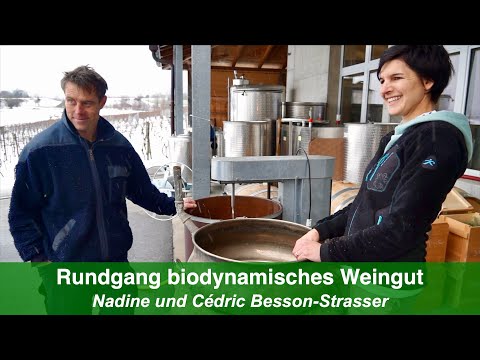 Video: Was Ist Biologisch-dynamischer Wein? Ein Leitfaden Für Den Buzzyworthy-Trend