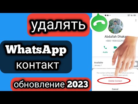 Как удалить контакт WhatsApp (обновление 2023) удалить контакт WhatsApp L контакт WhatsApp удалить