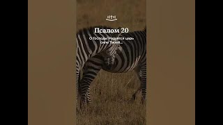 картинка: Псалом 20:2-7 современный перевод Библии #Shorts