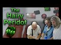 The hairy peridot episode 2