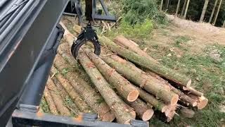 Loading Logs Self Loader