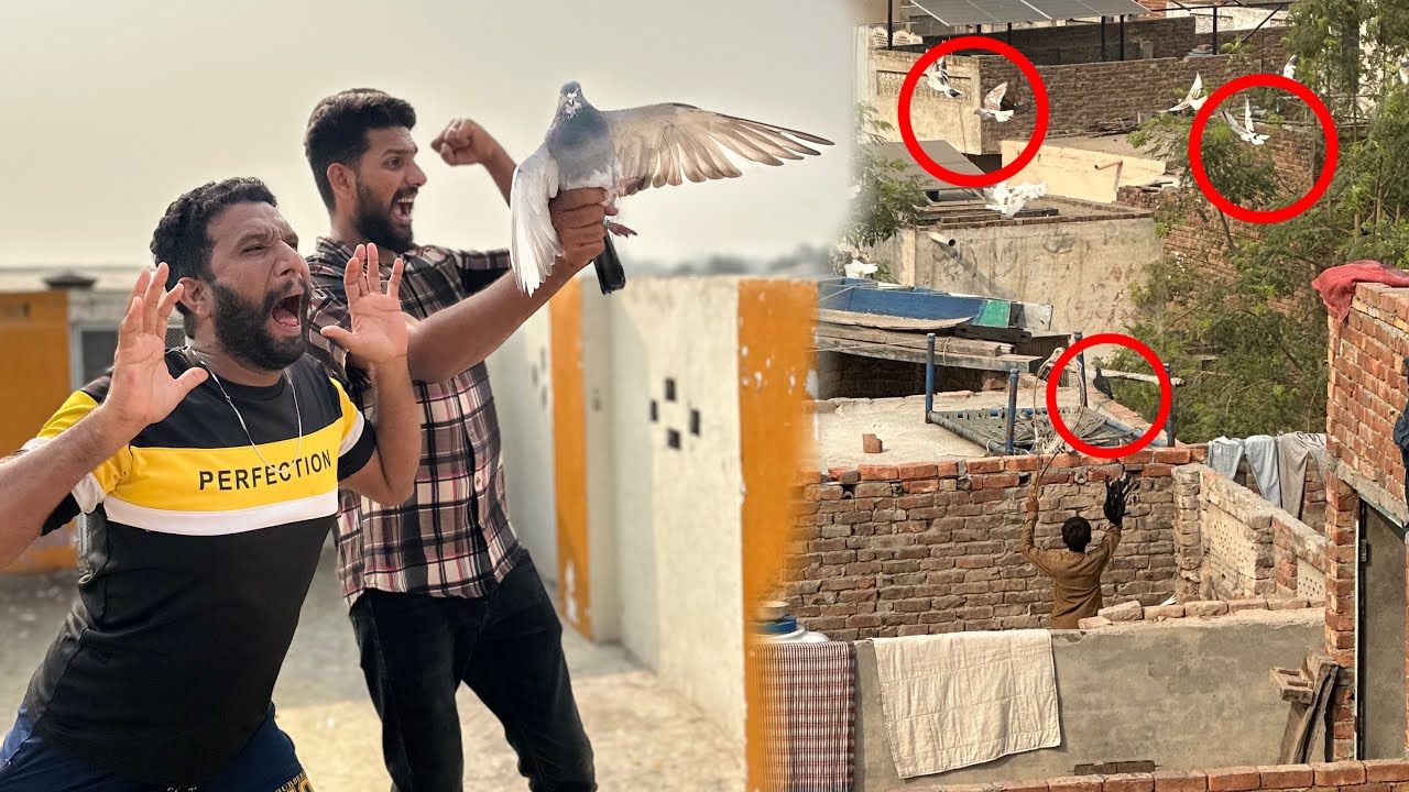 Aaj Bacho ka racer kabutar utar liya or ya Kia hua 😳😱