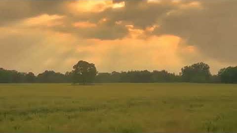 سورة الكهف " واصبر نفسك مع الذين يدعون ربهم بالغداة والعشى.."🌿🧡