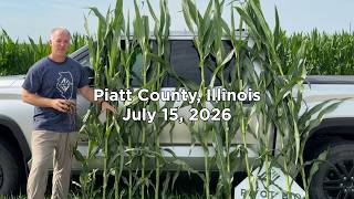 Piatt County IL Agronomy Update
