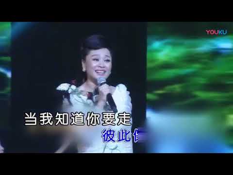 郑海燕【我的故事】现场版MV~KTV字幕