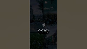 سورة الاعراف للقارئ #محمد_النقيدان