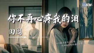 田园 - 你不再心疼我的泪「我知道我不再是你的谁」【🎧AI高质音乐｜拼音动态歌词】#coolsong酷歌
