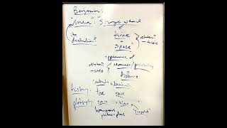 Cutrone lecture on Kracauer and Benjamin on mass culture and photography