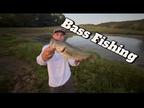 Trophy pond bass fishing!