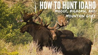 How to Hunt Idaho: Moose, Bighorn, and Mountain Goat | Tips and Tricks