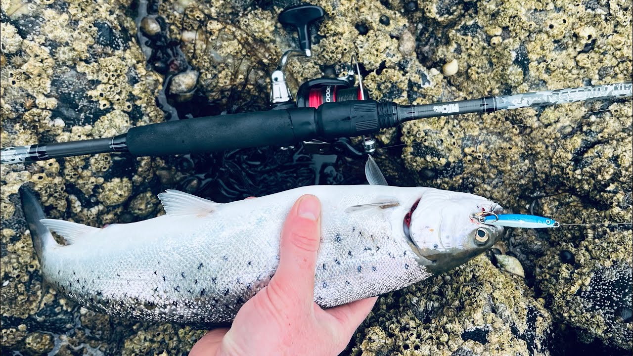 Lure Fishing For Sea Trout West of Scotland YouTube