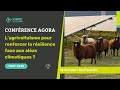 AGORA 2024 : L’agrivoltaïsme pour renforcer la résilience face aux aléas climatiques ?