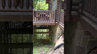 1903 Elk Springs, Gatlinburg