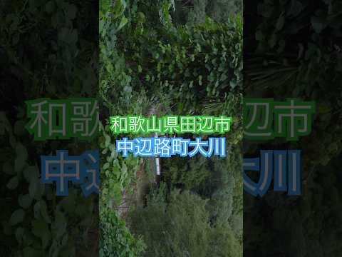 和歌山県田辺市の道はずれ、吊り橋の向こうの春日神社。