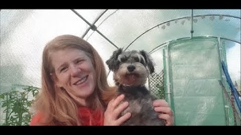 Simplex+ SP24- pros and cons, & best software version. Why it is my Stock coil now.