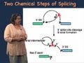 Splicing Mechanism - Melissa Moore (U Mass/HHMI)