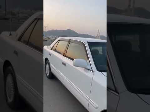 راس الثور تكم لون ابيض يسره بلاد سعودي تحيه طيبه للمتابعين مشاركه لايكات 