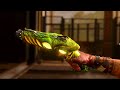 Middle of video