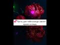 💟Короткое поздравление с днём рождения для сестры