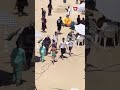 مفيش مكان لقدم.. شواطئ الإسكندرية تكتظ بالمصطفين في أول ويك آند بعد انتهاء امتحانات الثانوية العامة